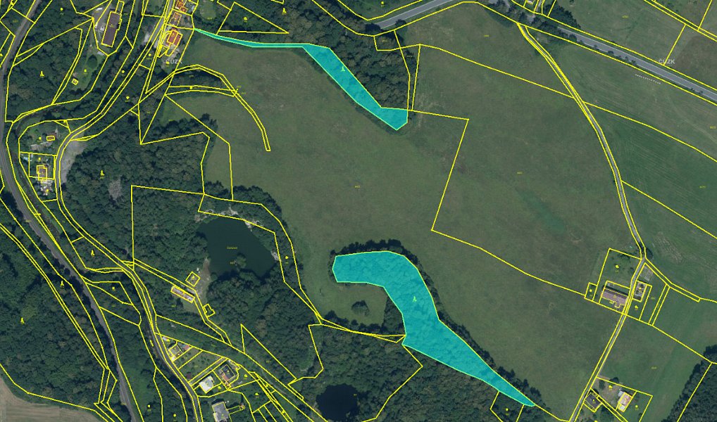 Prodej lesa 7 174 m², Žulová – náhled fotky 10
