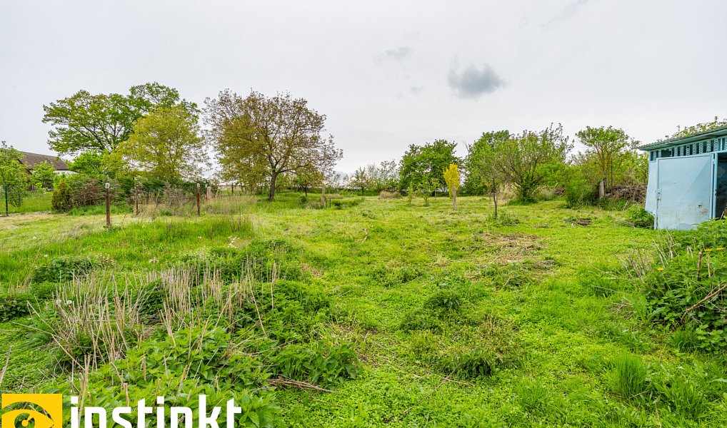 Prodej domu 192 m² s pozemkem 3 008 m², Předotice – náhled fotky 17