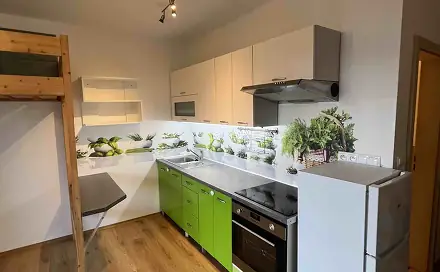 Pronájem bytu 1+kk 30 m²