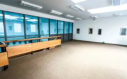 Pronájem obchodních prostor 195 m²