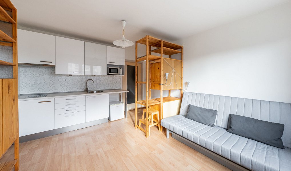 Pronájem bytu 1+kk 21 m², Plzeň – náhled fotky 2