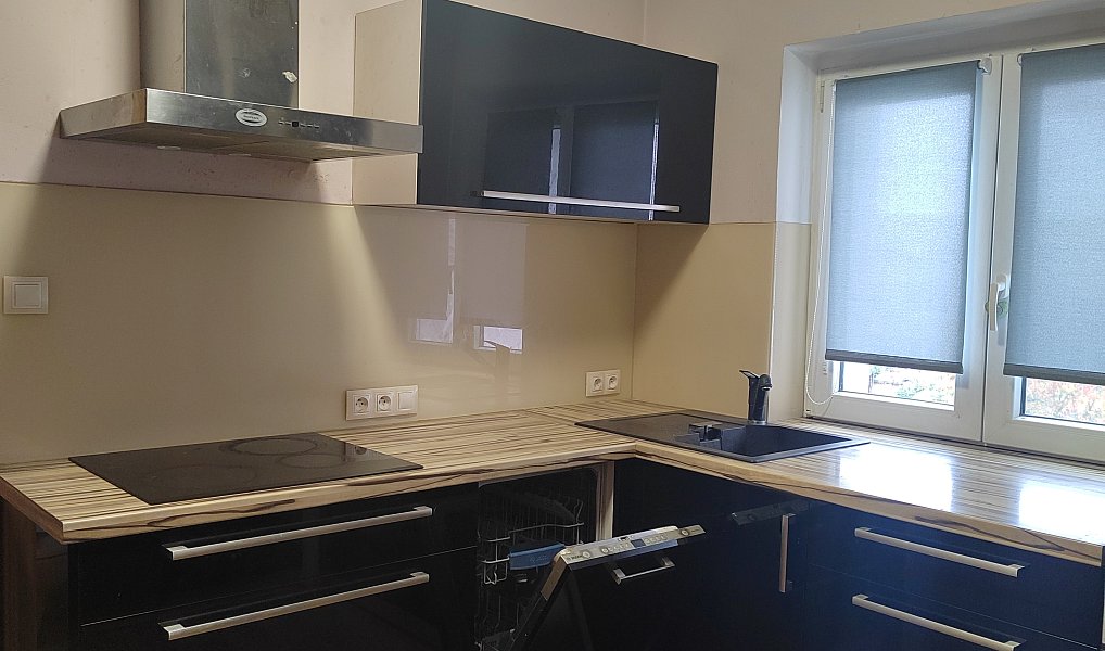 Prodej domu 94 m² s pozemkem 233 m², Zruč-Senec – náhled fotky 8