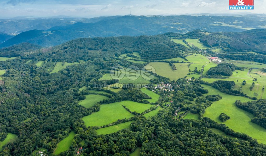 Prodej lesa 22 174 m², Homole u Panny – náhled fotky 4