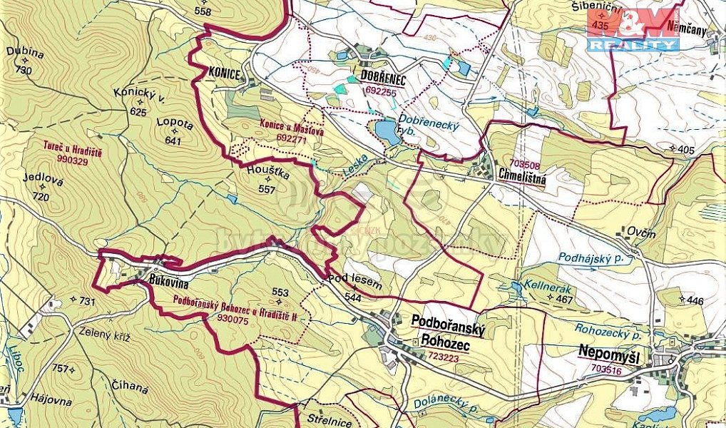 Prodej louky 4 385 m², Mašťov – náhled fotky 4