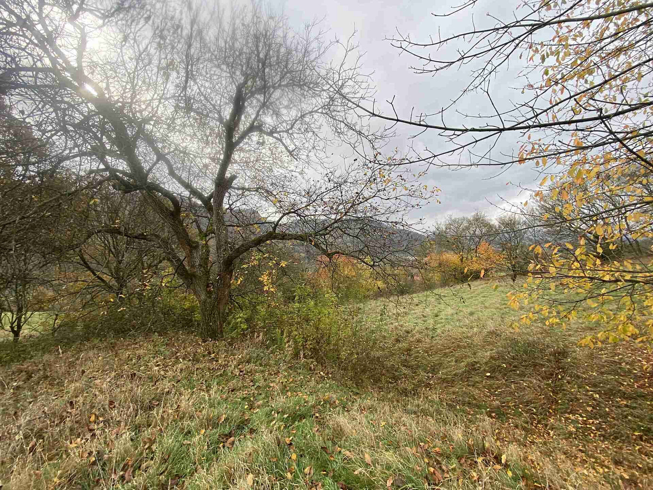 Prodej pozemku 4 431 m² – fotografie 2