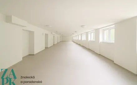 Pronájem komerčního objektu (jiného typu) 150 m², Purkyňova, Ústí nad Labem - Střekov
