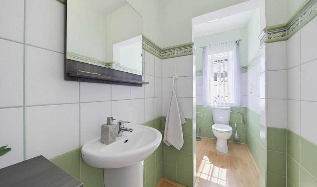 Prodej domu 300 m² s pozemkem 1 491 m², Luženičky – náhled fotky 23