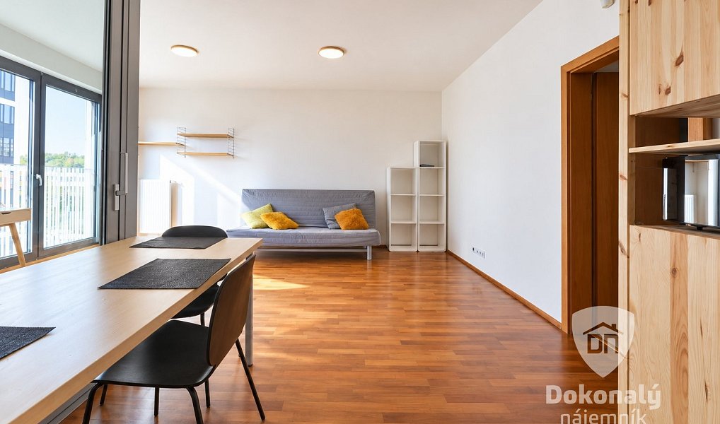 Pronájem bytu 1+1 48 m², Praha – náhled fotky 6