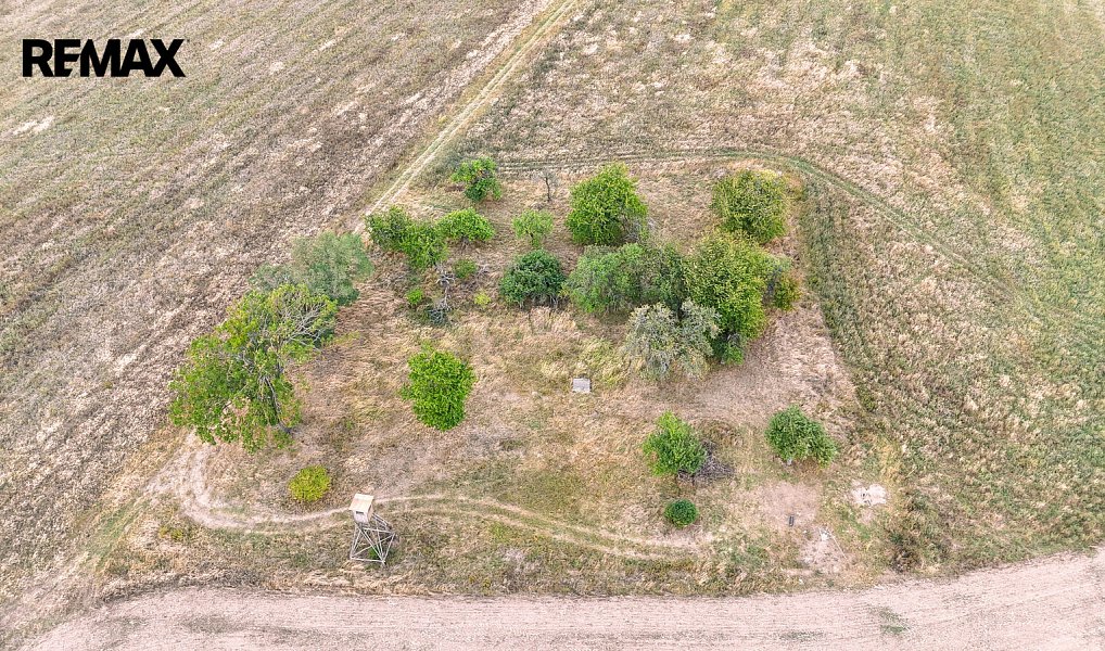 Prodej stavebního pozemku 3 633 m², Ošelín – náhled fotky 9