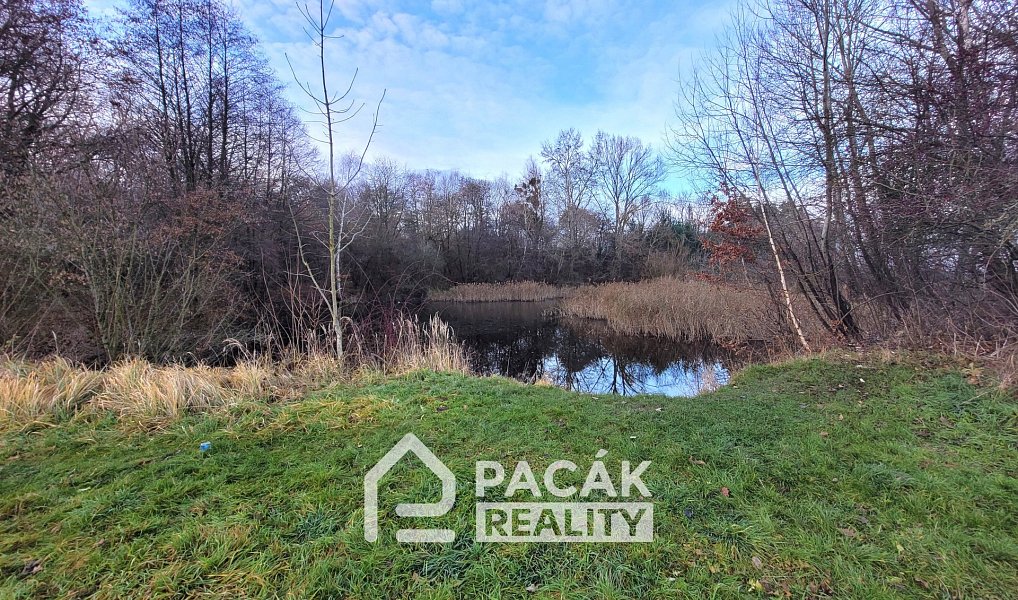 Prodej pozemku 15 995 m², Kožušany-Tážaly – náhled fotky 7