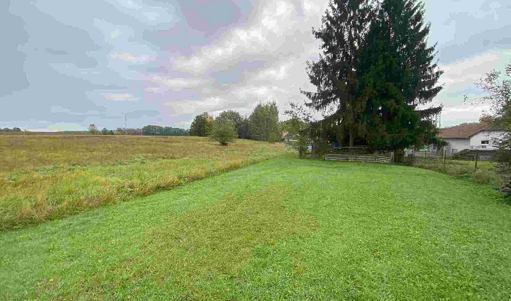Prodej pozemku 15 915 m², Mydlovary – náhled fotky 3