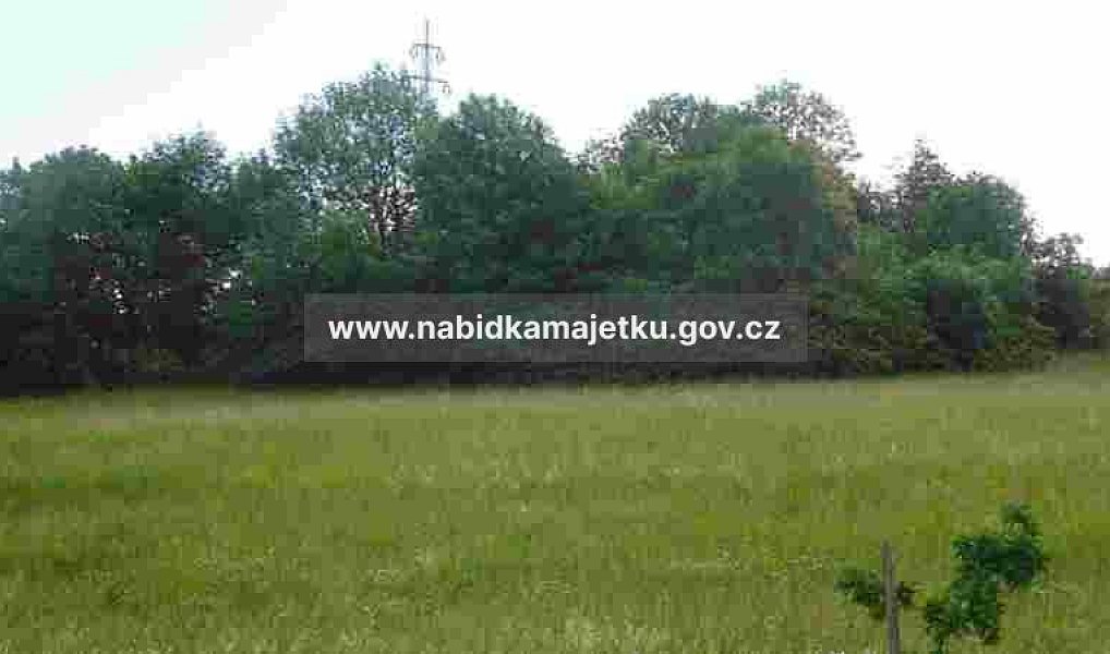 Prodej pozemku 3 600 m², Příbram – náhled fotky 4