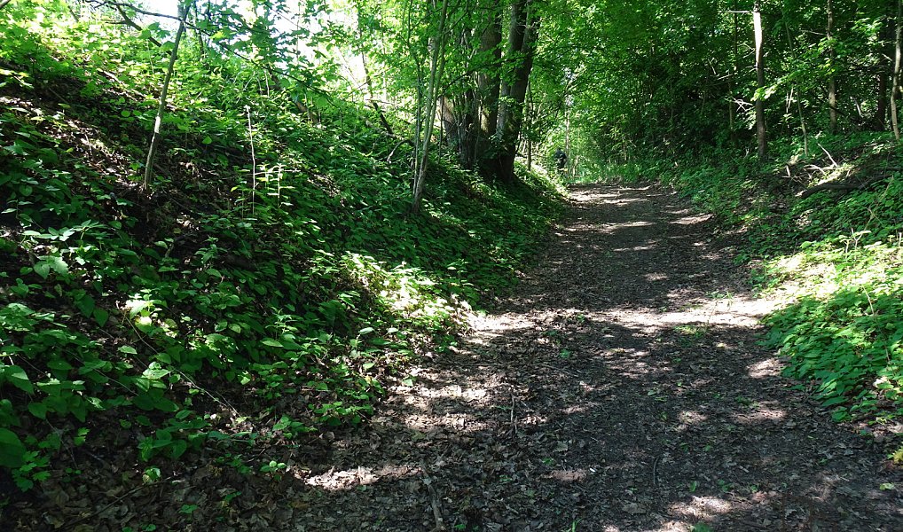 Pronájem pozemku 1 000 m², Valy – náhled fotky 11