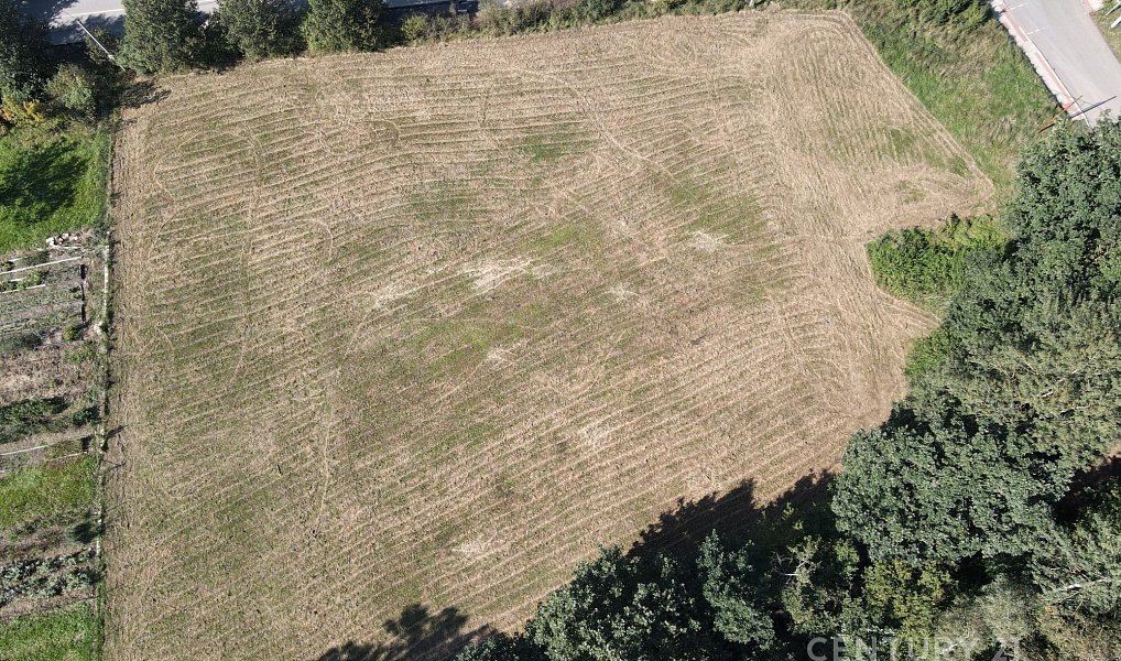 Prodej stavebního pozemku 1 360 m², Oldřichov v Hájích – náhled fotky 9
