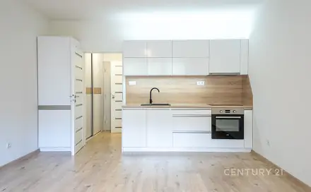 Pronájem bytu 1+kk 33 m², Dr. M. Tyrše, Frýdek-Místek - Frýdek