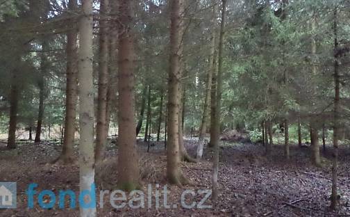 Prodej lesa 9 683 m², Myslkovice, okres Tábor