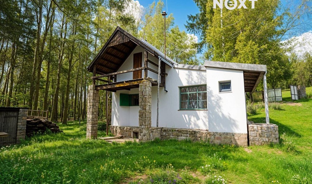 Prodej domu 60 m² s pozemkem 3 089 m², Lipí – náhled fotky 14