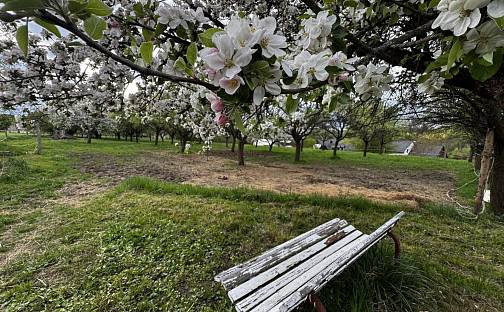 Prodej stavebního pozemku 2 980 m², Bílé Poličany, okres Trutnov