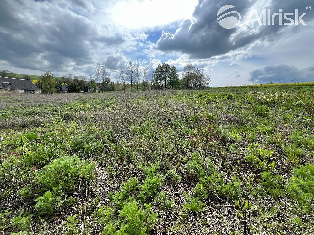 Prodej stavebního pozemku 3 978 m² — photo 3