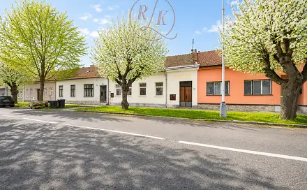 Prodej domu 265 m² s pozemkem 339 m², Lidická, Prostějov