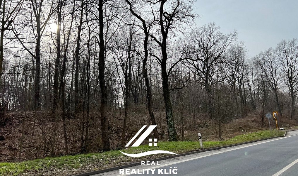 Prodej pole 15 421 m², Markvartovice – náhled fotky 18