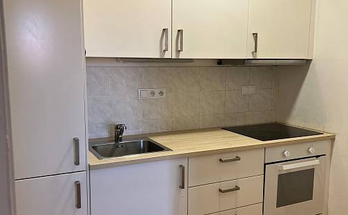 Pronájem bytu 3+1 56 m², nám. V. Levého, Liběchov, okres Mělník