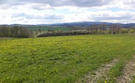Prodej pozemku 10 063 m², Staré Město - Nová Véska, okres Bruntál