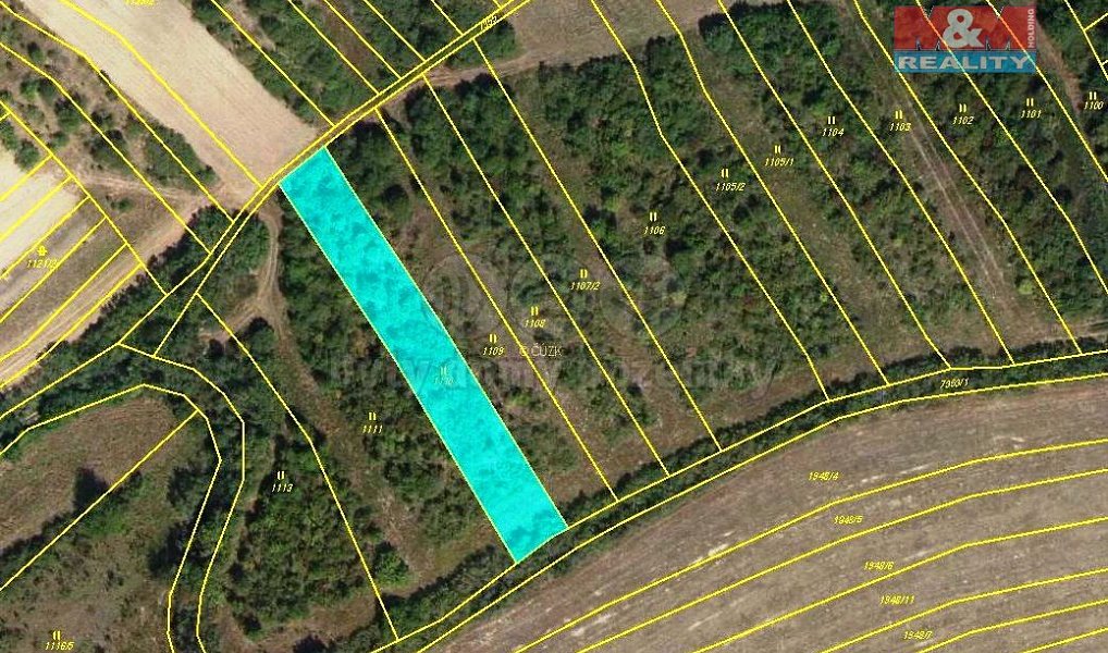 Prodej louky 1 622 m², Dambořice – náhled fotky 4