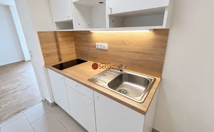 Pronájem bytu 1+1 41 m², Antonína Sochora, Teplice - Trnovany