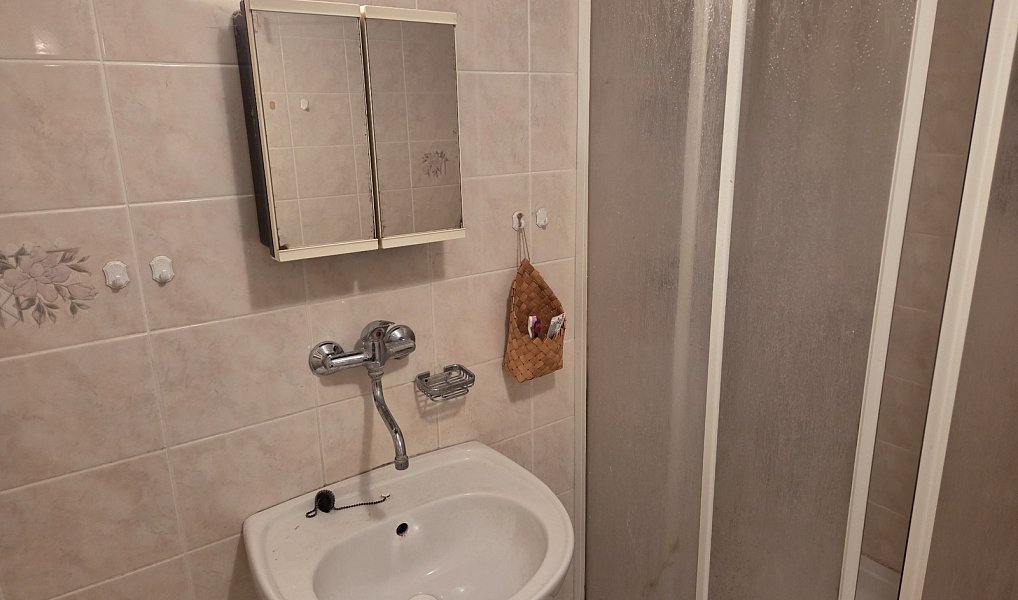 Prodej domu 120 m² s pozemkem 1 252 m², Damníkov – náhled fotky 8