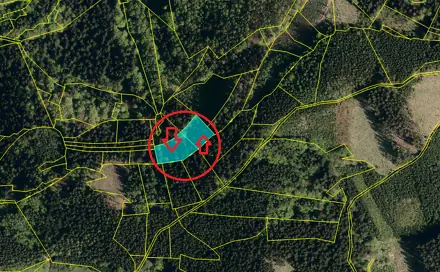 Prodej lesa 1 373 m², Nemojany, okres Vyškov