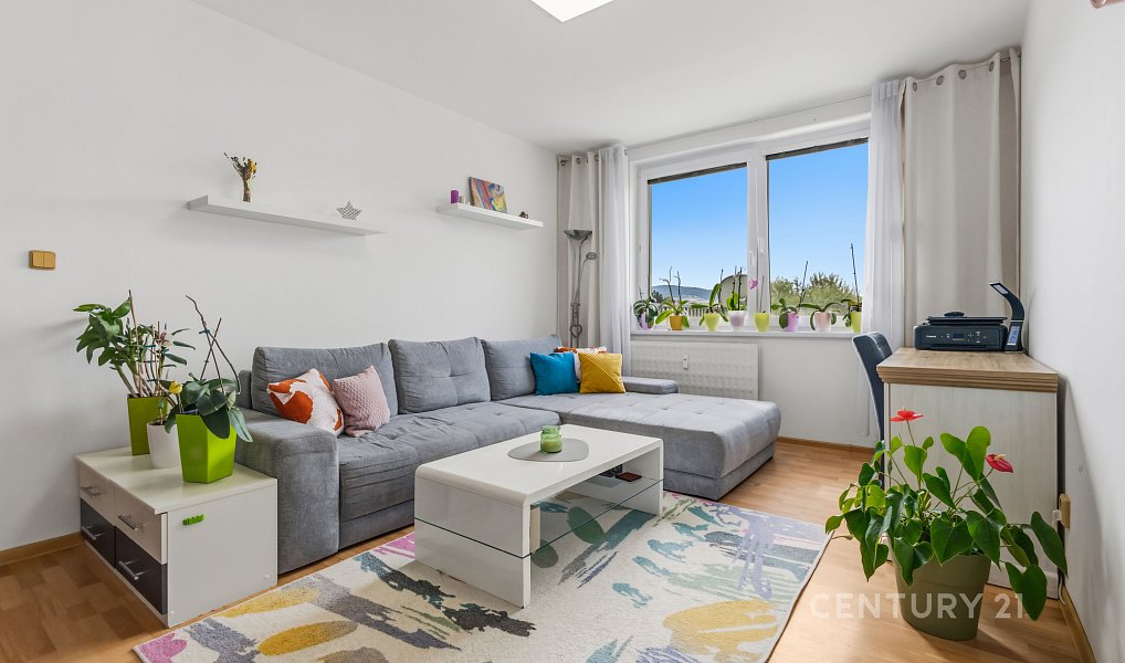 Prodej bytu 3+1 69 m², Velká nad Veličkou – náhled fotky 2