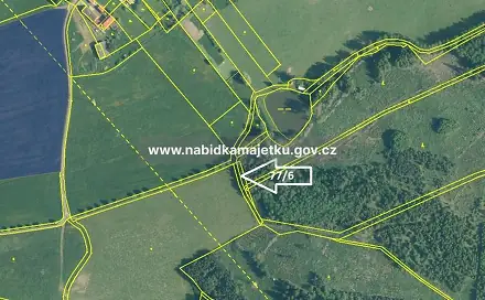 Prodej lesa 433 m², Černošín, okres Tachov