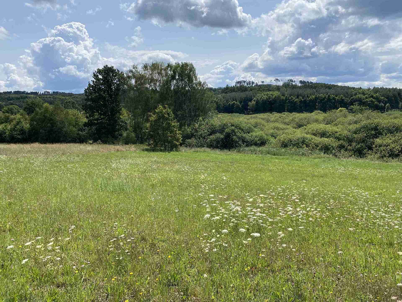 Prodej pole 55 481 m² – fotografie 4