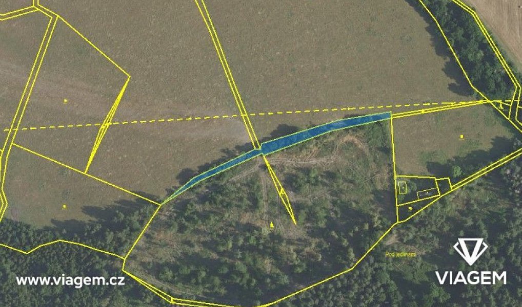Prodej lesa 13 775 m², Čím – náhled fotky 2