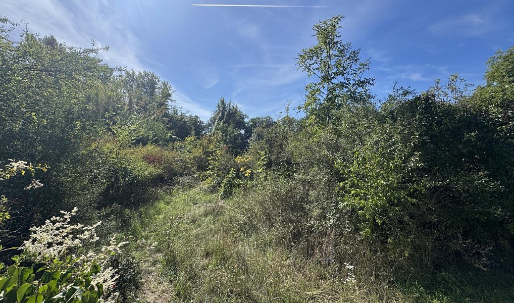 Prodej stavebního pozemku 2 414 m², Mělník – náhled fotky 19
