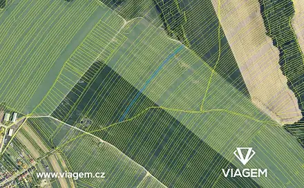 Prodej pole 818 m², Popovice, okres Uherské Hradiště