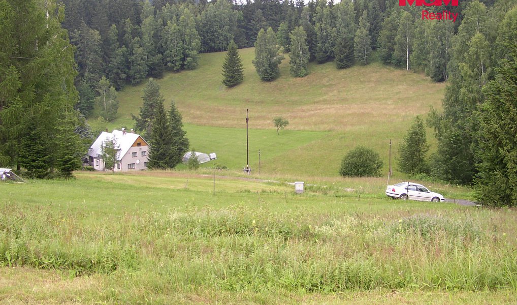 Prodej louky 4 214 m², Benecko – náhled fotky 10