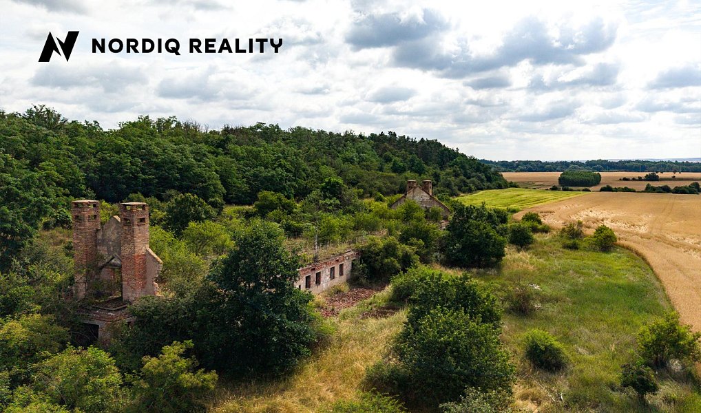 Prodej komerčního pozemku 16 786 m², Staňkovice – náhled fotky 10