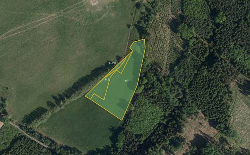 Prodej louky 5 784 m², Načešice, okres Chrudim