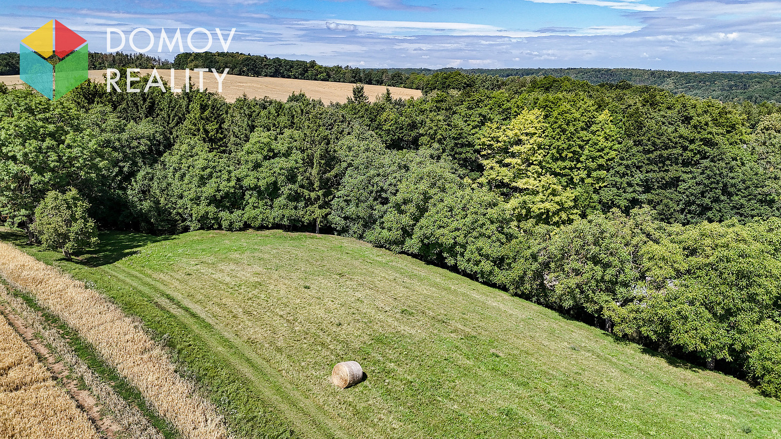 Prodej pole 2 730 m² – fotografie 3