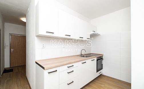 Pronájem bytu 2+1 55 m², Patrice Lumumby, Ostrava - Zábřeh