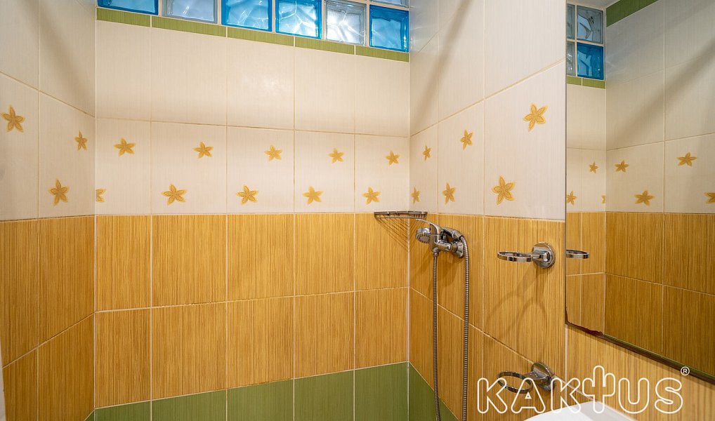 Pronájem bytu 2+1 46 m², Ostrava – náhled fotky 12