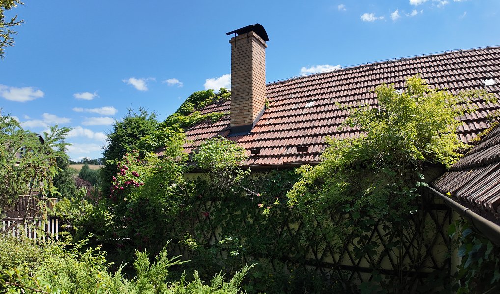 Prodej domu 160 m² s pozemkem 729 m², Osiky – náhled fotky 11