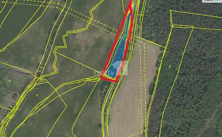 Pronájem pole 2 335 m², Trhové Dušníky, okres Příbram
