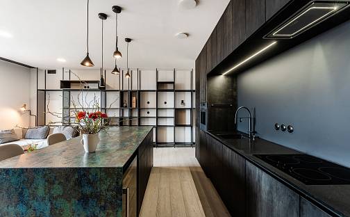 Prodej bytu 4+kk 116 m², Bořivojova, Praha 3 - Žižkov