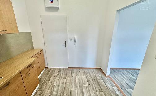 Pronájem bytu 1+kk 21 m², Tkalcovská, Brno - Zábrdovice