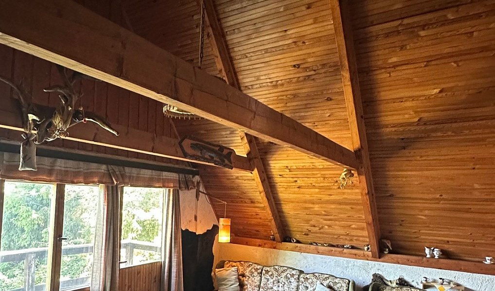 Prodej chaty/chalupy 50 m² s pozemkem 439 m², Čím – náhled fotky 12