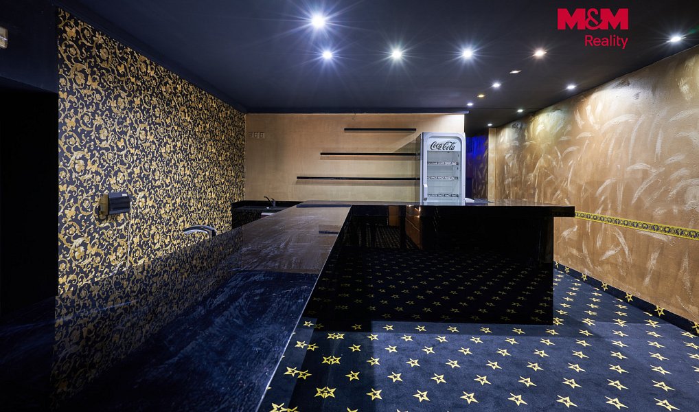Pronájem obchodních prostor 205 m², Uherský Brod – náhled fotky 8