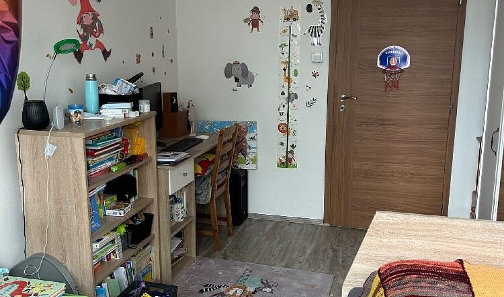 Prodej bytu 3+1 72 m², Zábřeh – náhled fotky 6